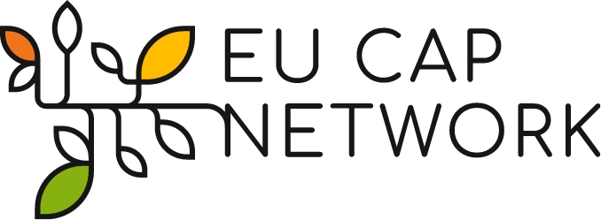 identyfikacja wizualna dla EU CAP NETWORK